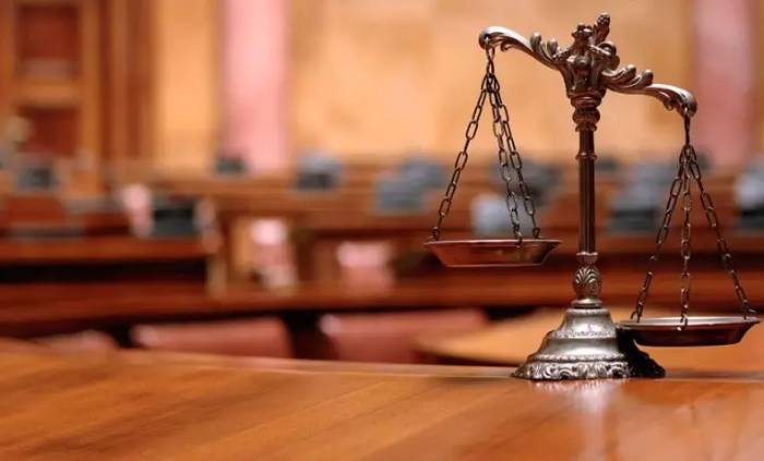 حضور جلسات المحكمة عن بعد