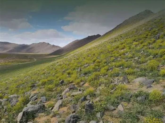 تصريح دخول محمية الملك سلمان